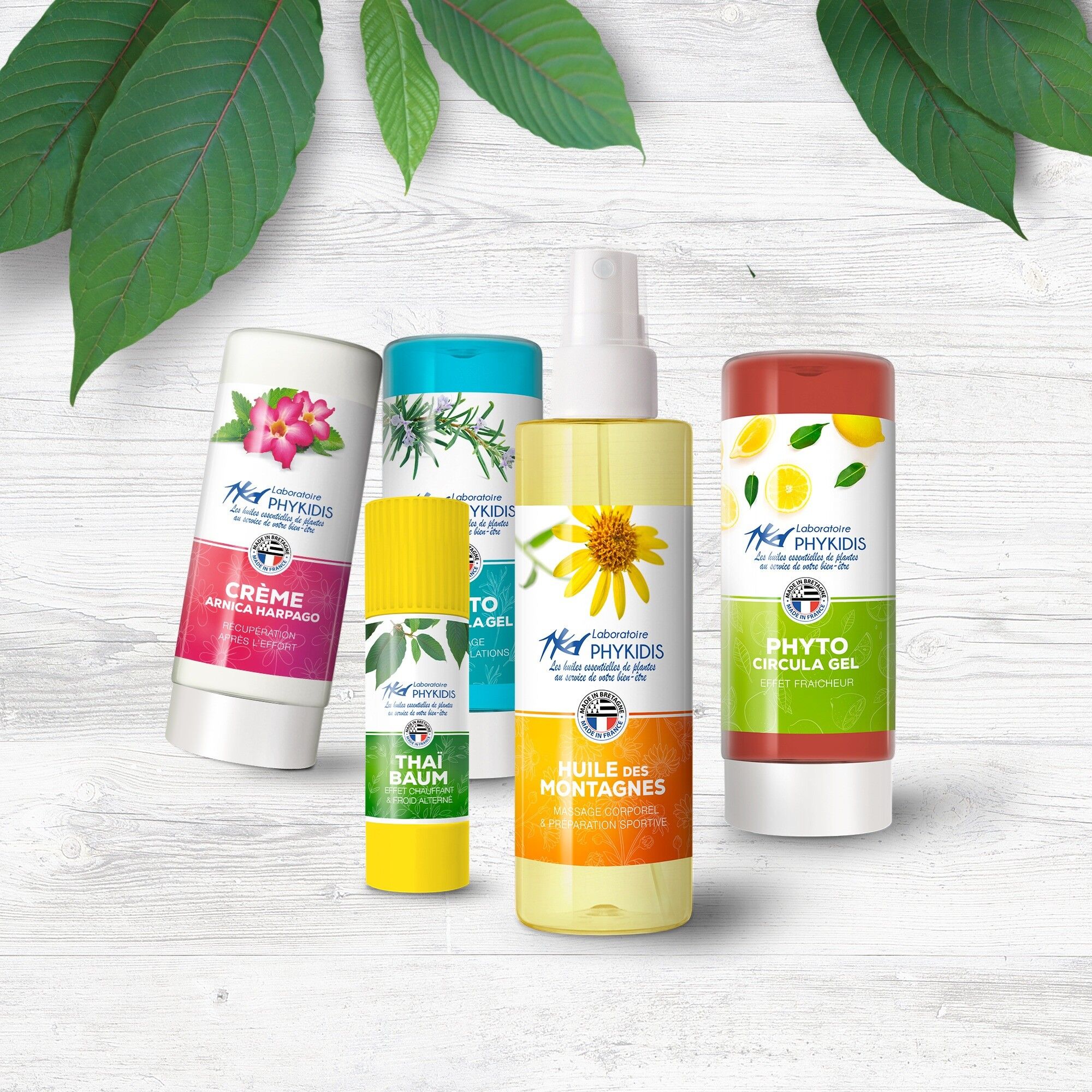 Laboratoire Phykidis