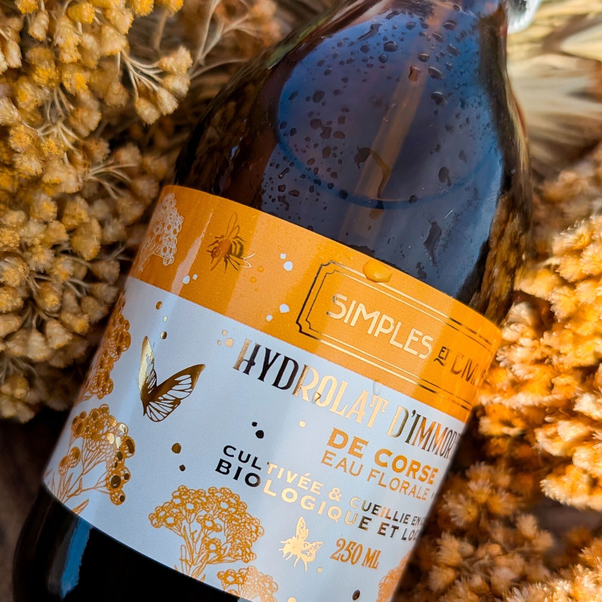 LES SIMPLES ET DIVINES, bio et Corse