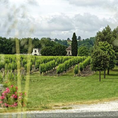 Château de Fayolle