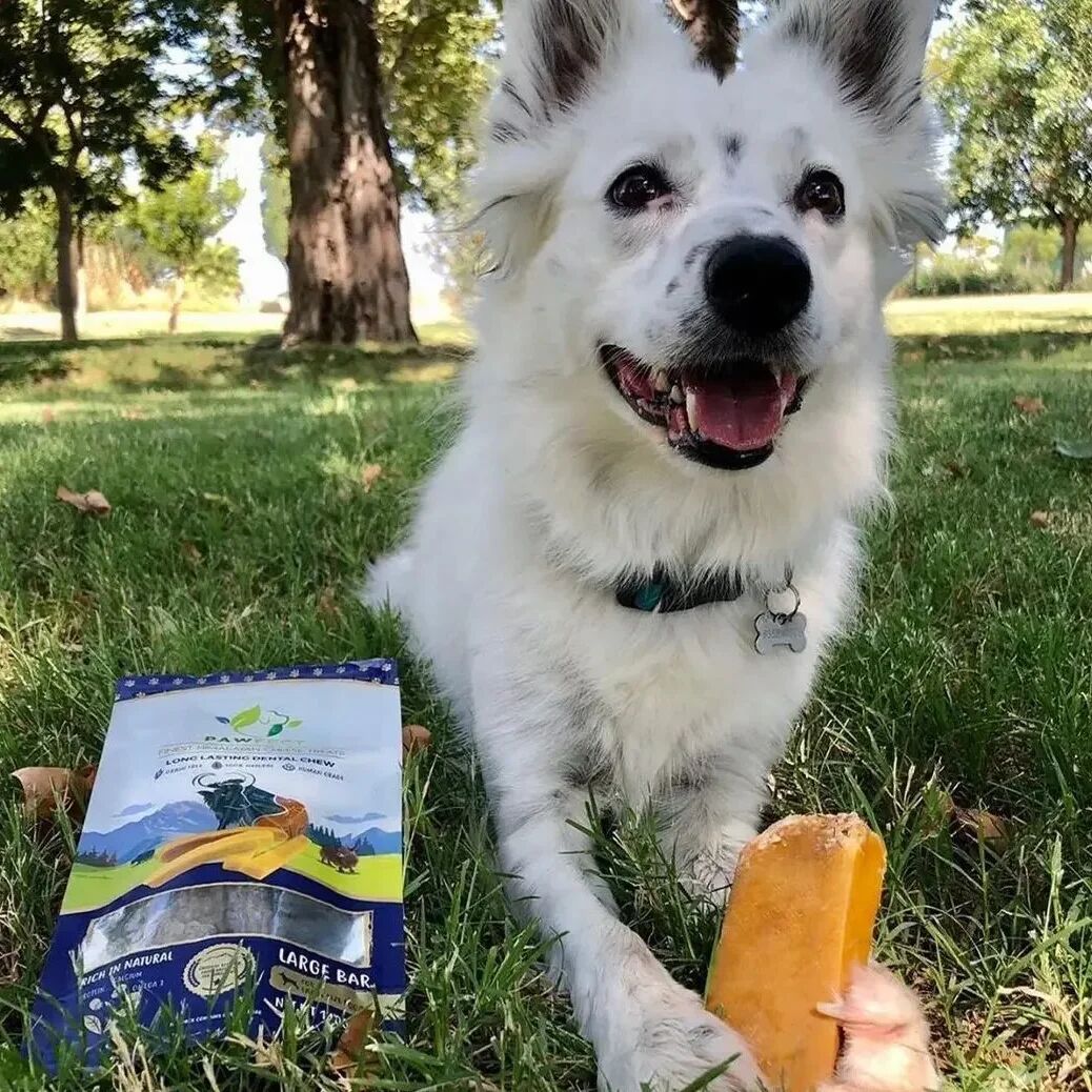 Pawfect Foods
