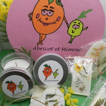 Abricot et Mimosa