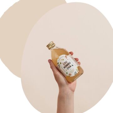 Lou Kombucha