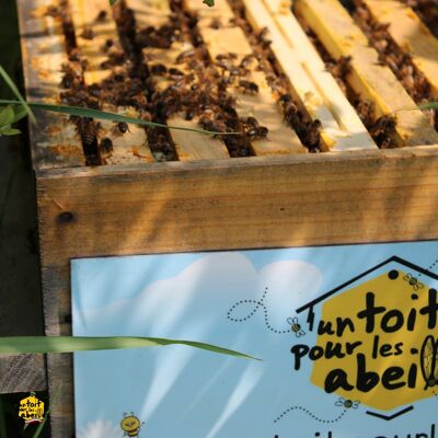 Un toit pour les abeilles