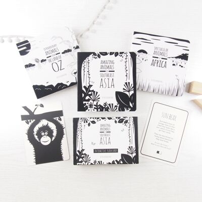 The Little Black & White Book Project