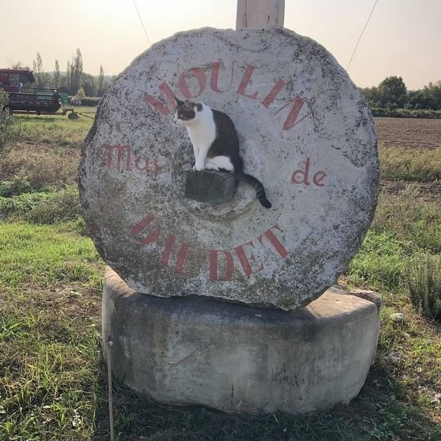 MOULIN mas de DAUDET