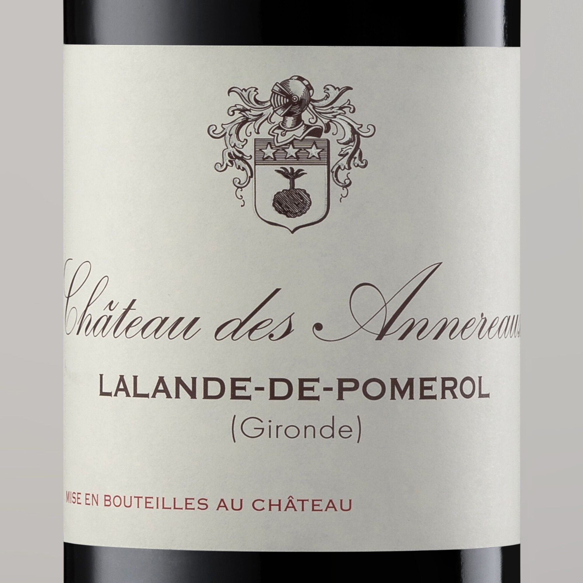 Château Des Annereaux