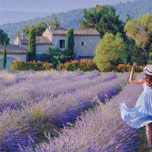 PROVENCE D'ANTAN