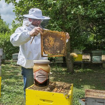 ACBB - les Ateliers de l'Abeille