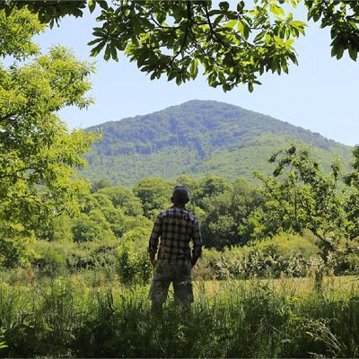 Lamponi dei Monti Cimini®