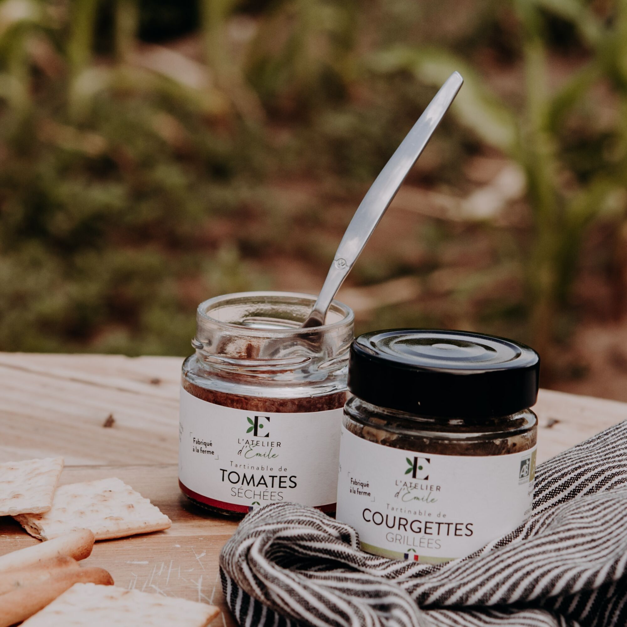 L’atelier d’Emile