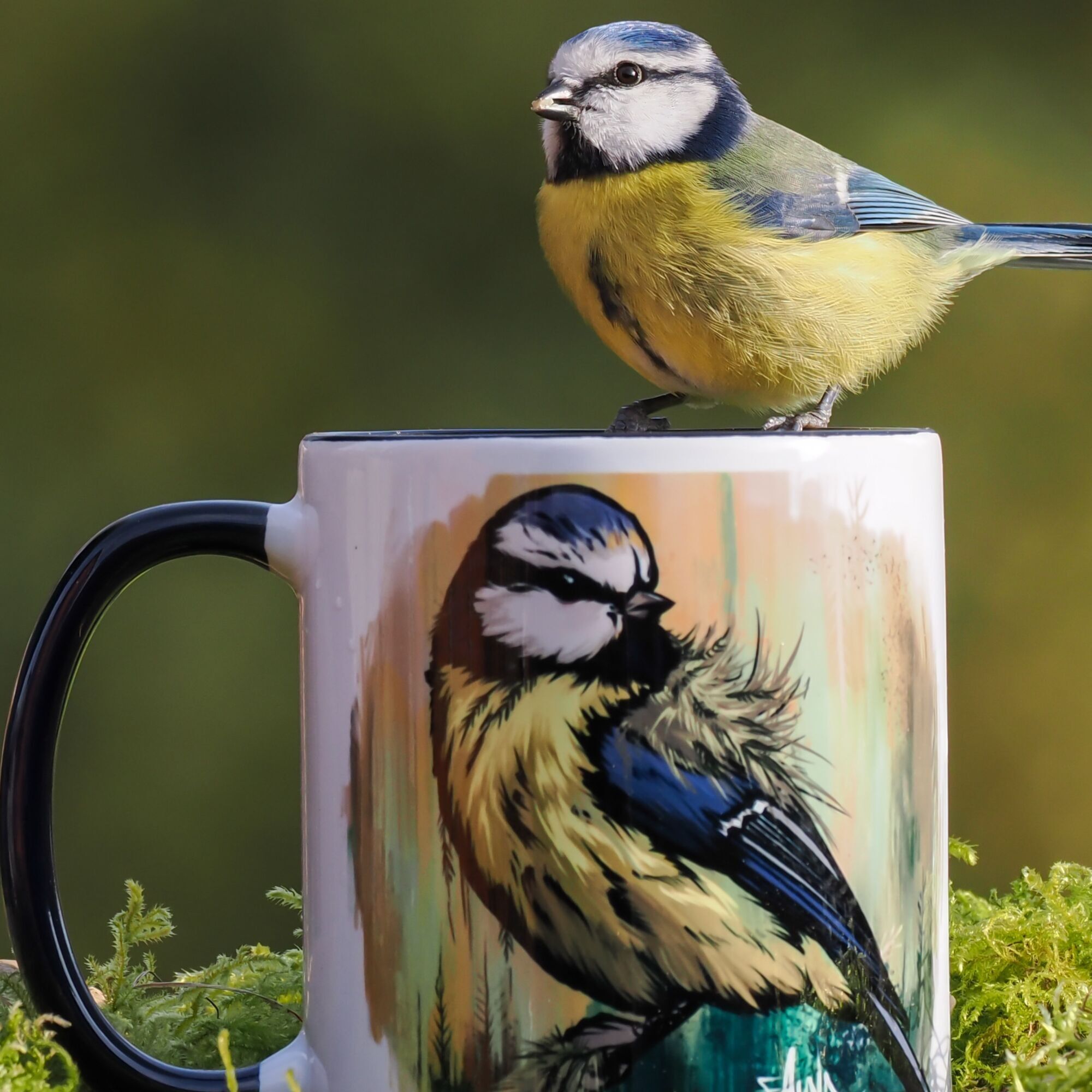 Faunagraphic