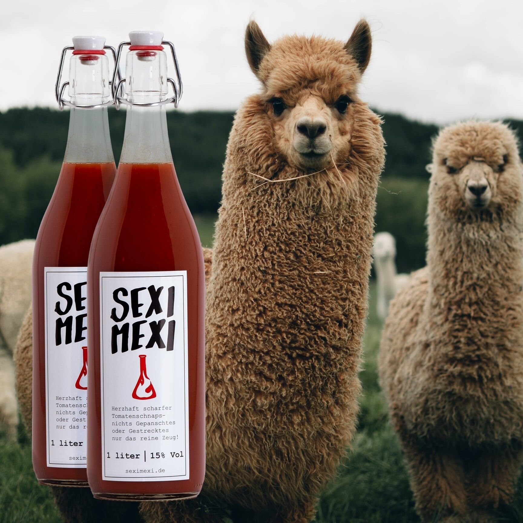 Sexi Mexi