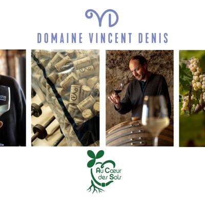 Domaine Vincent Denis