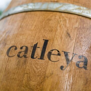 Catleya