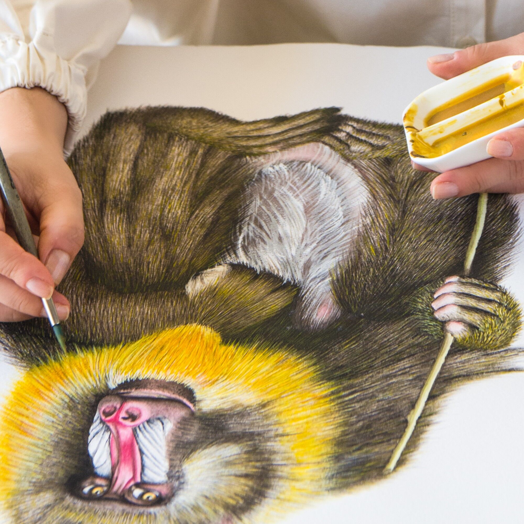 Save the date projects