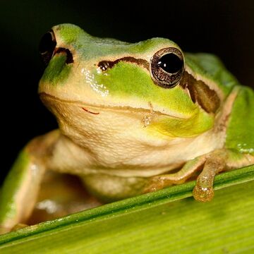 Regards Naturalistes