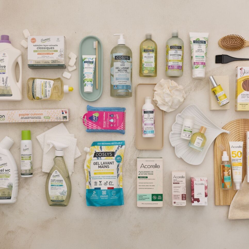 COMPTOIR DES LYS ( Coslys / Acorelle / Etamine du Lys  )