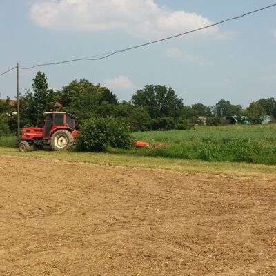 Azienda Agricola Riboli