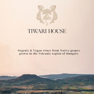 Tiwari House