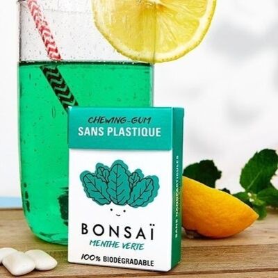 BONSAÏ