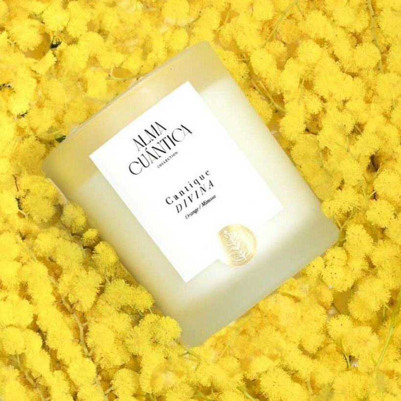 Alma Cuántica Collection