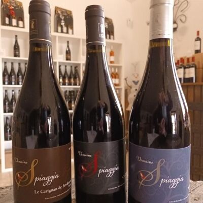 DOMAINE SPIAGGIA