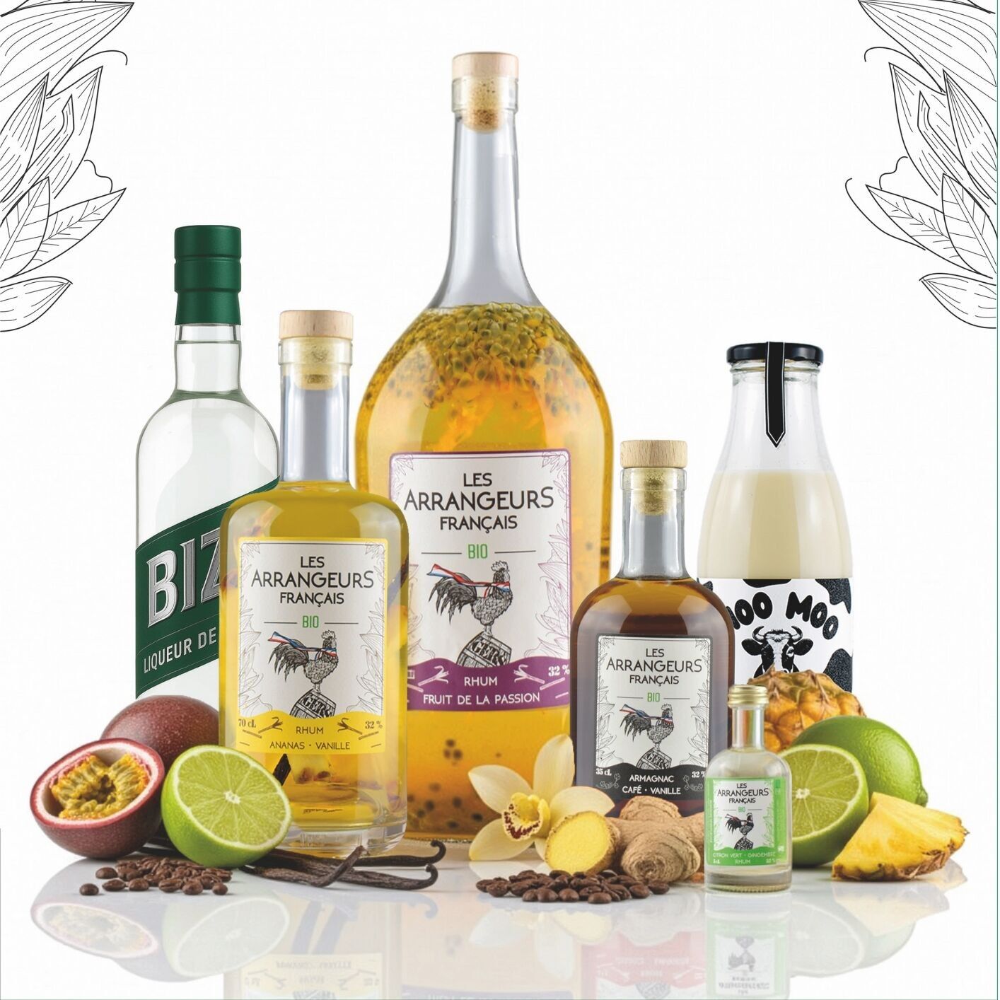 Les Arrangeurs français