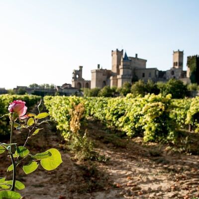 Bodegas Piedemonte