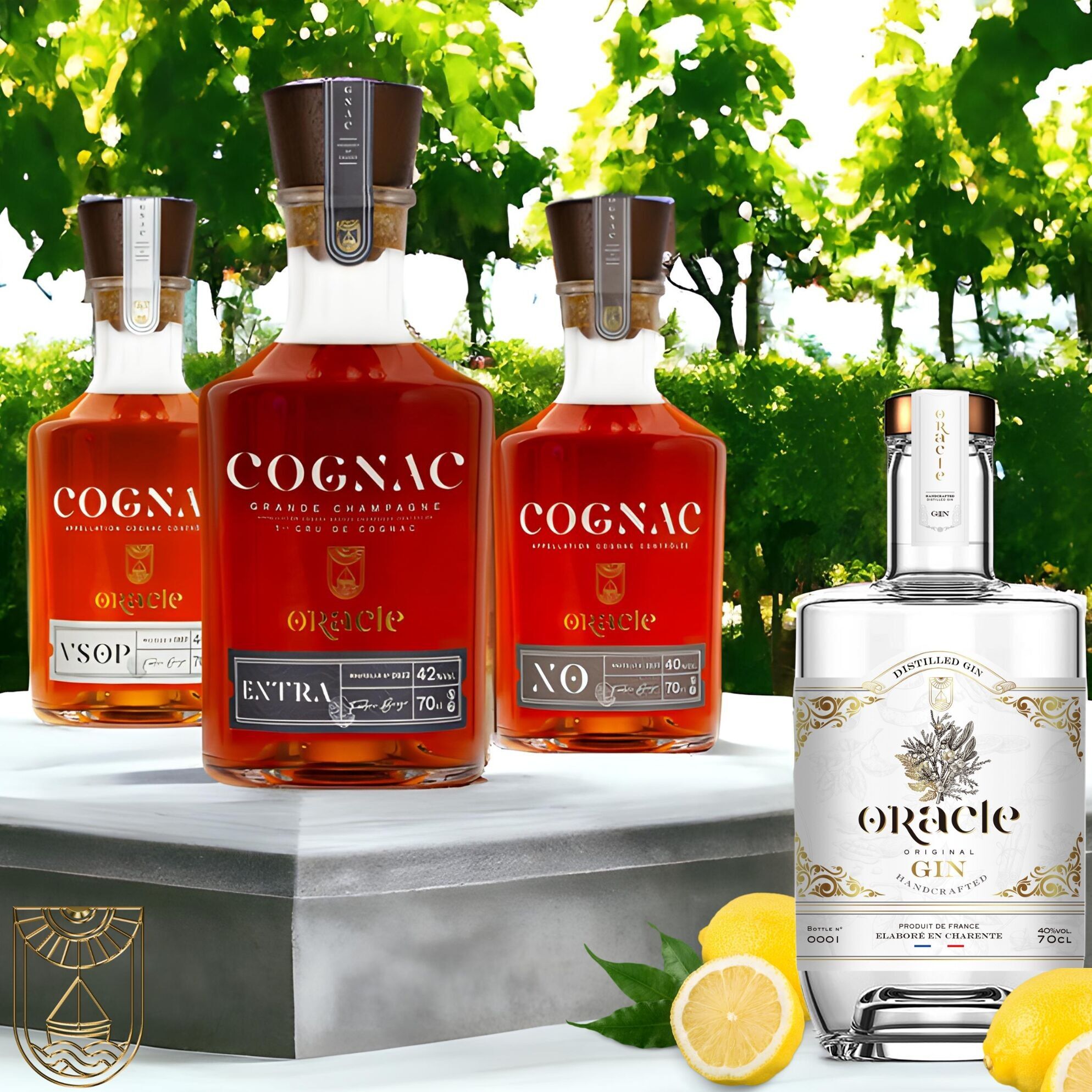 MTE - ORACLE SPIRITS