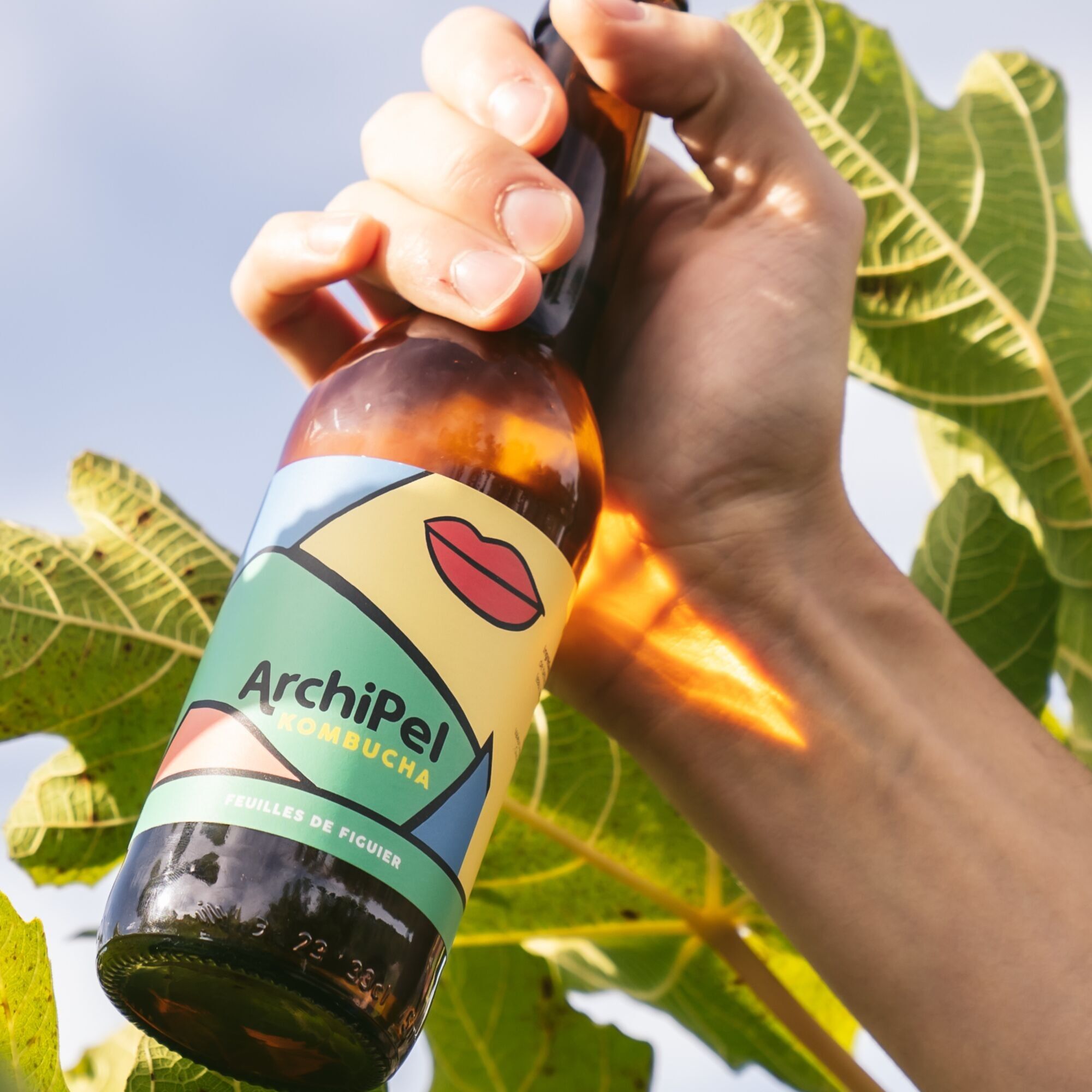 Archipel Kombucha