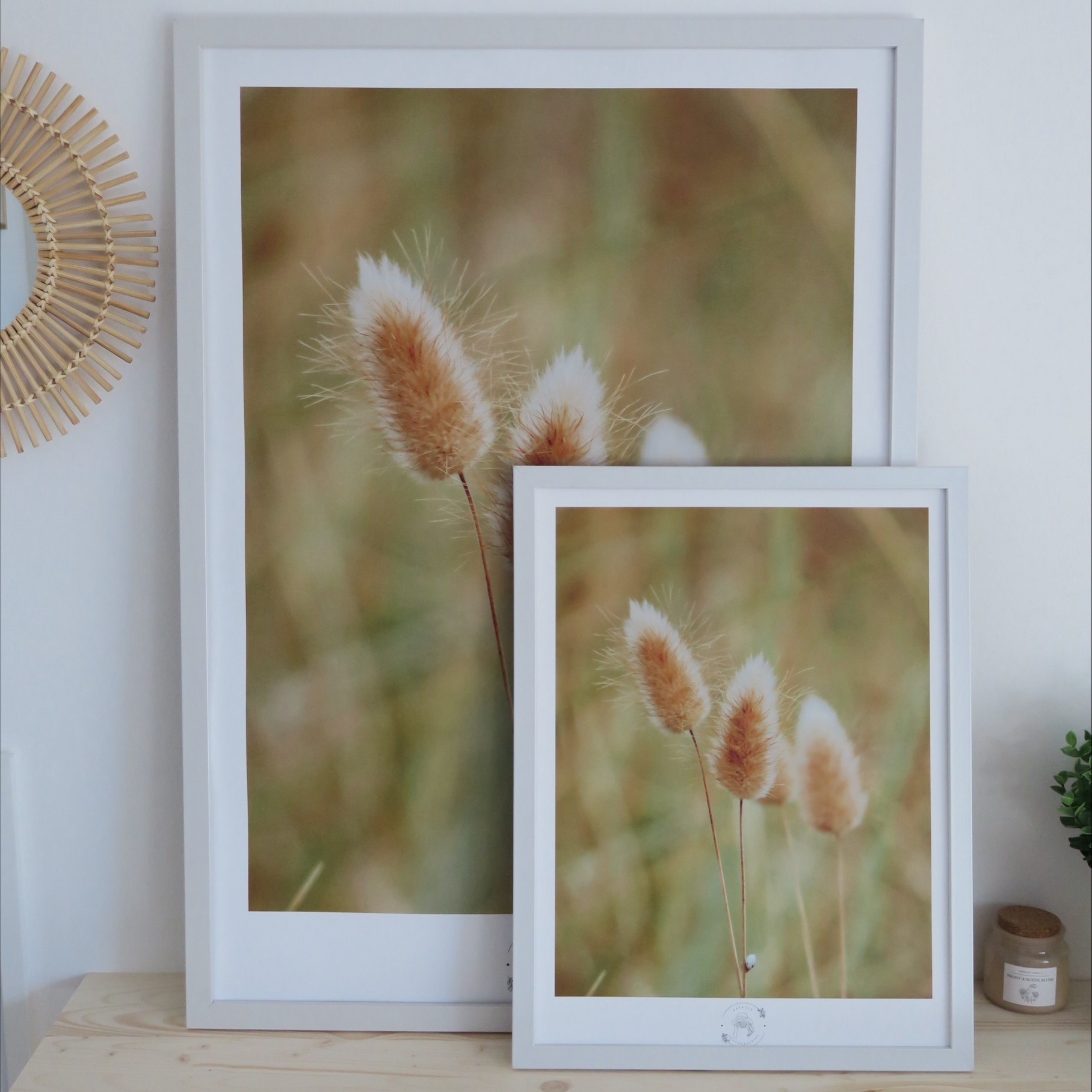 Estellephotographies