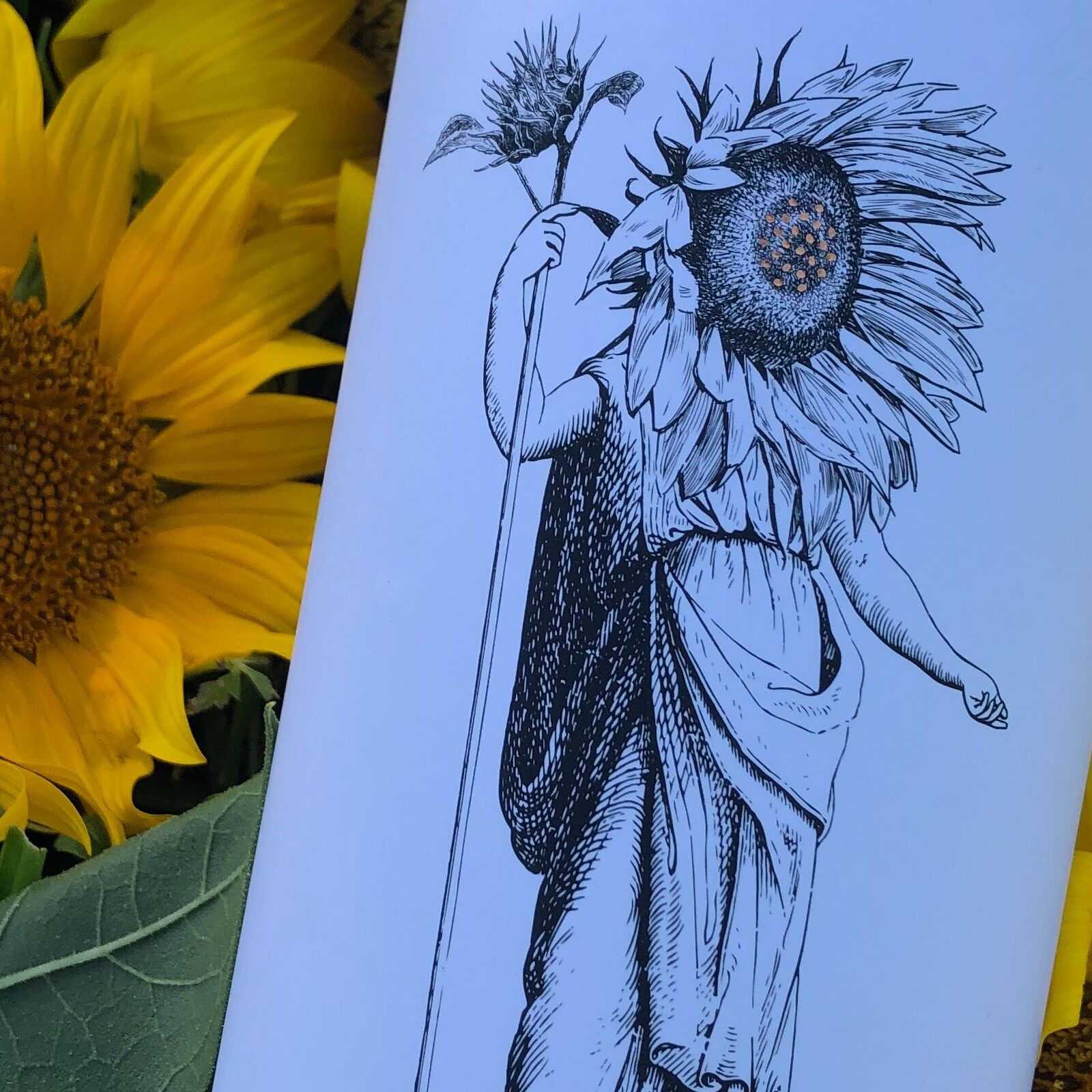 Domaine Roquefeuille