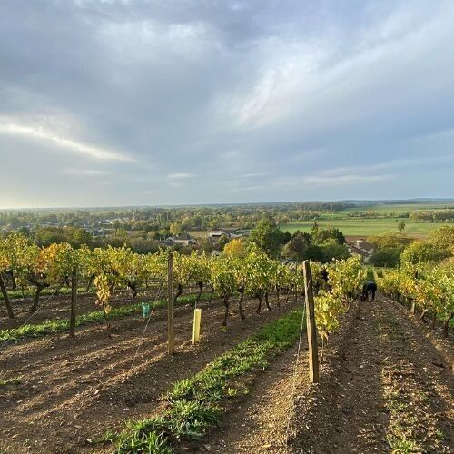 DOMAINE DES BÉNÉDICTINS