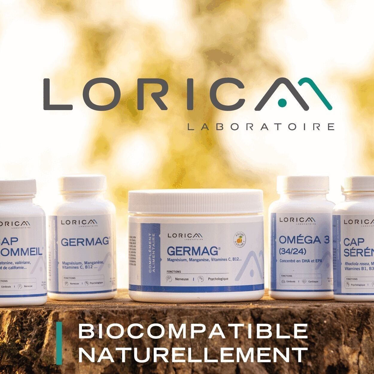 Laboratoire Lorica