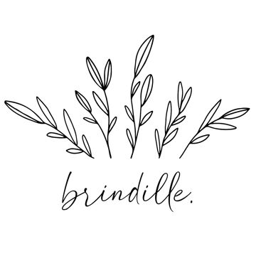 BRINDILLE