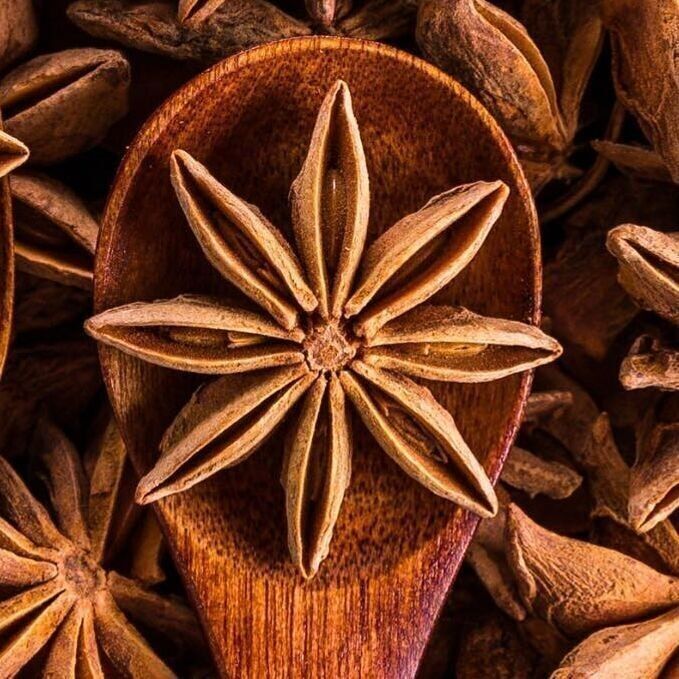 L’étoile d’Amalya