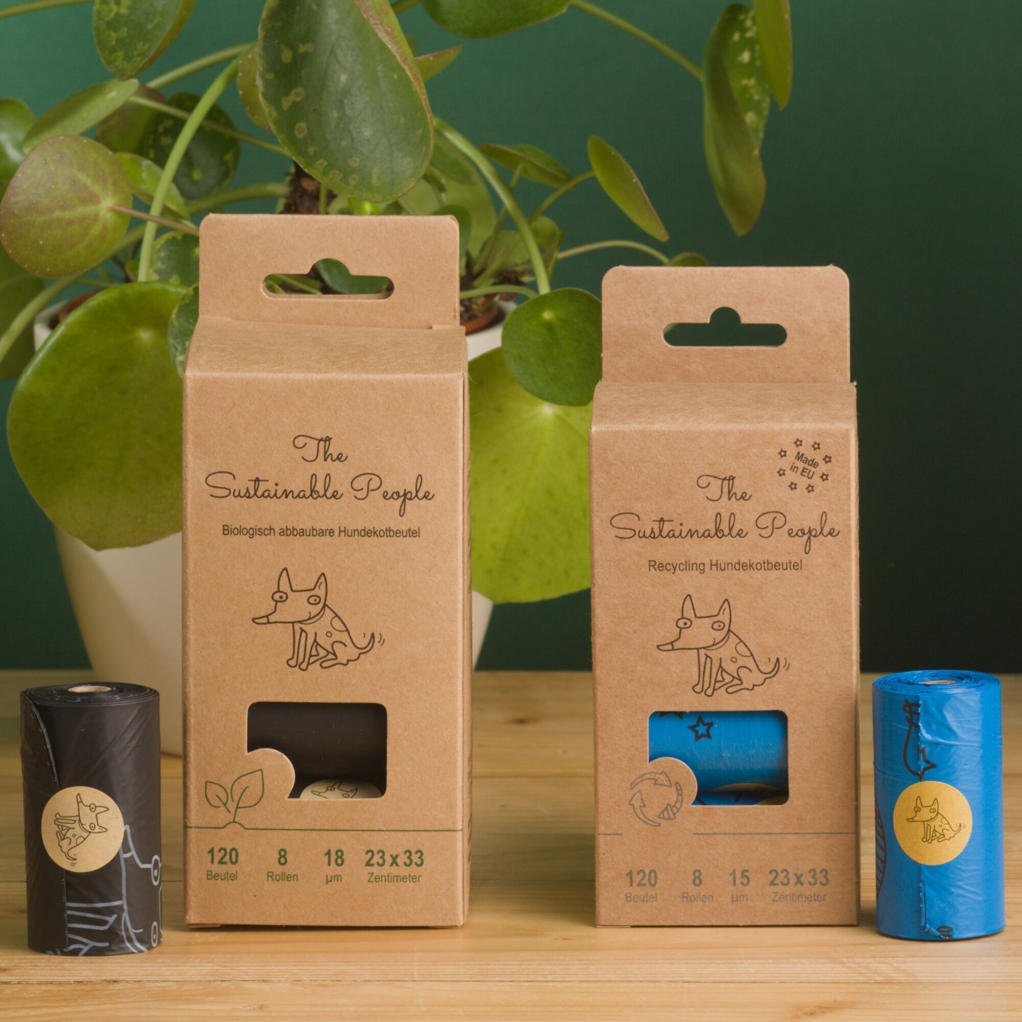 The Sustainable People