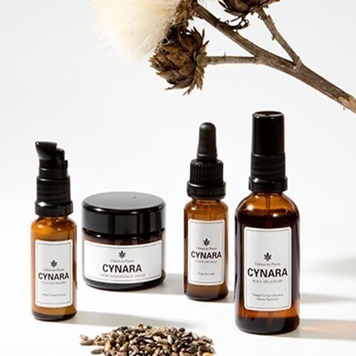 Château des Plantes