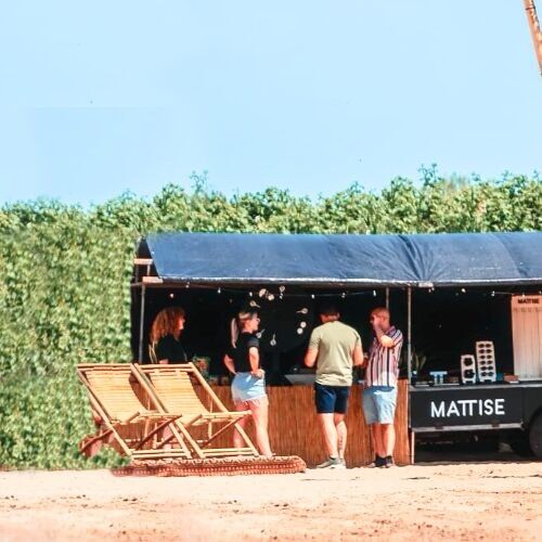 MATTISE