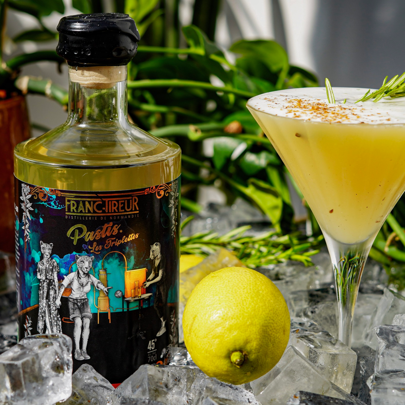 Distillerie Franc-Tireur
