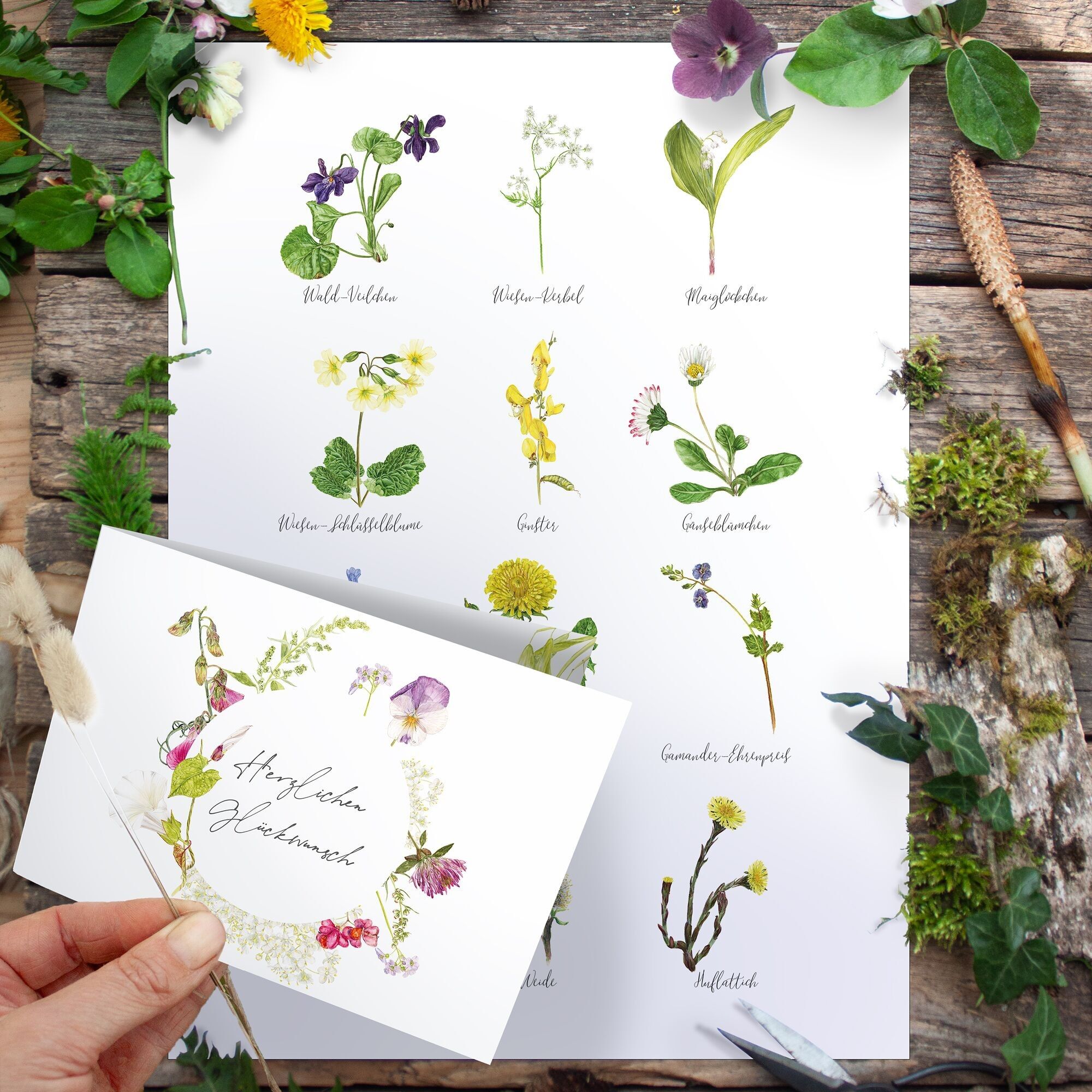 Anina von Grünstich