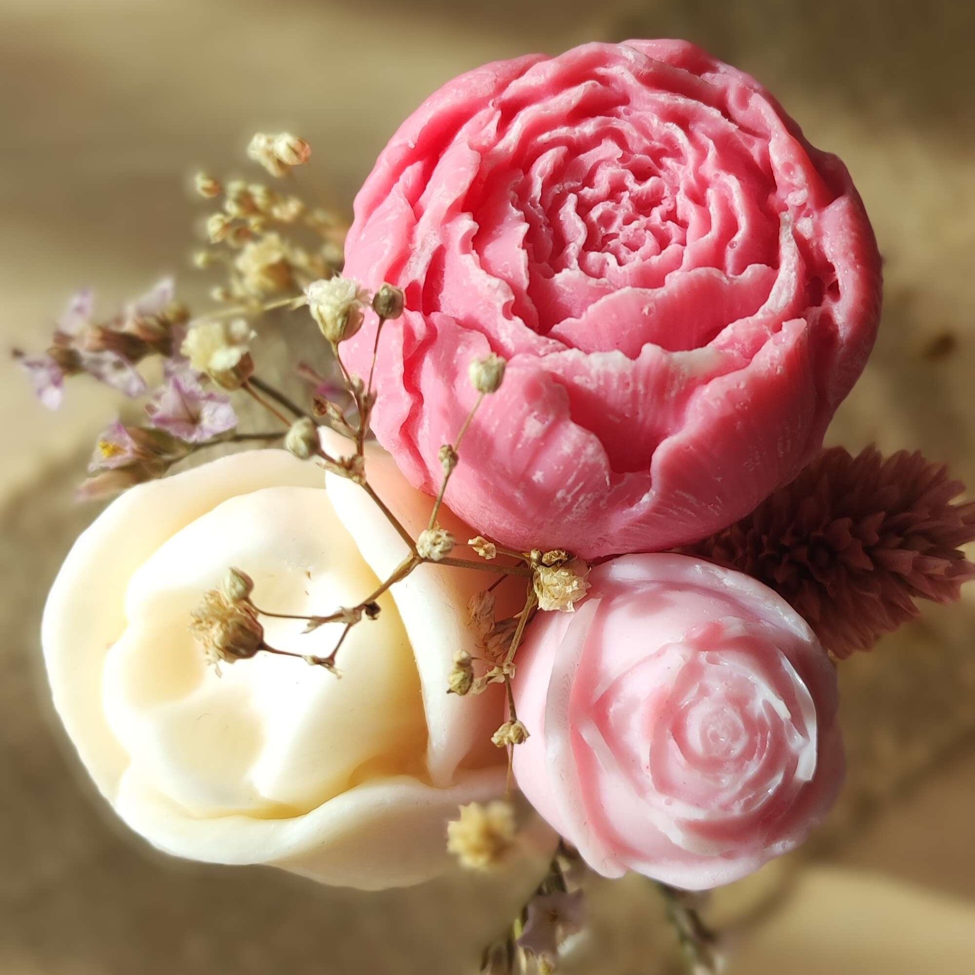 Savonnerie Bulle Gourmande