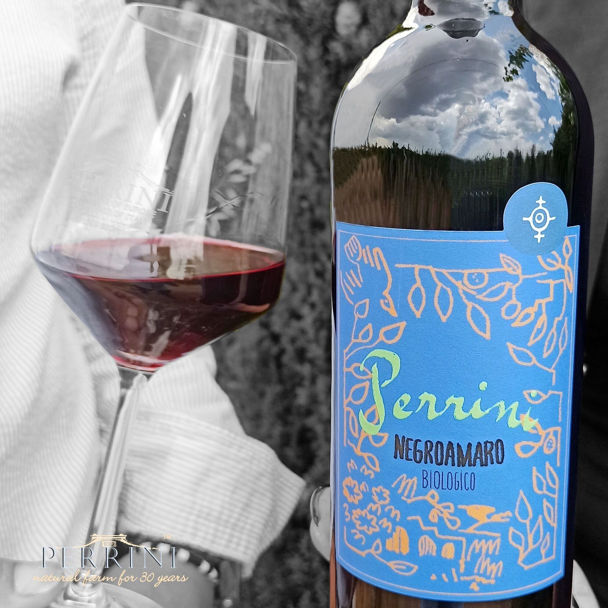 PERRINI VITO FRANCESCO