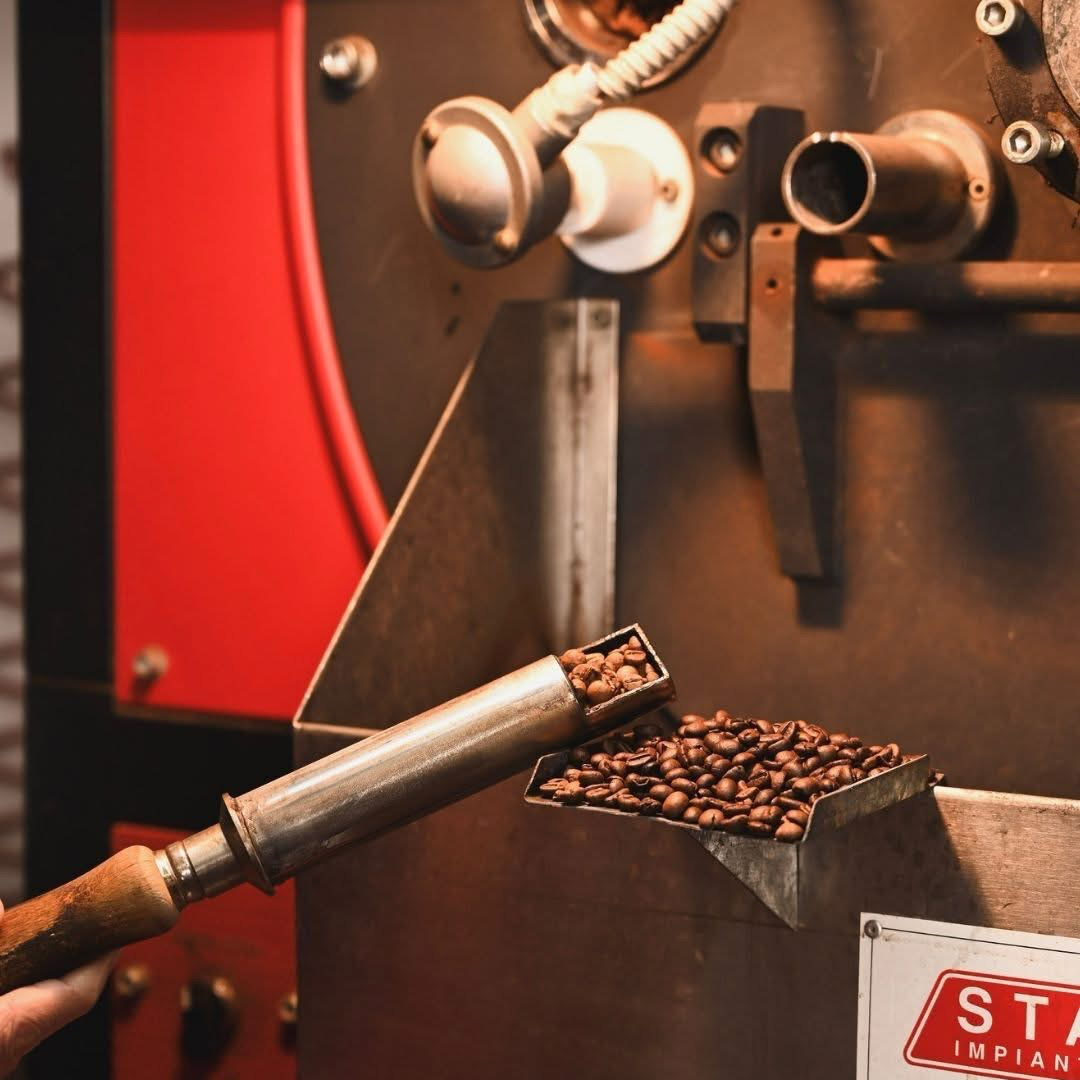 caffè ginevra srl