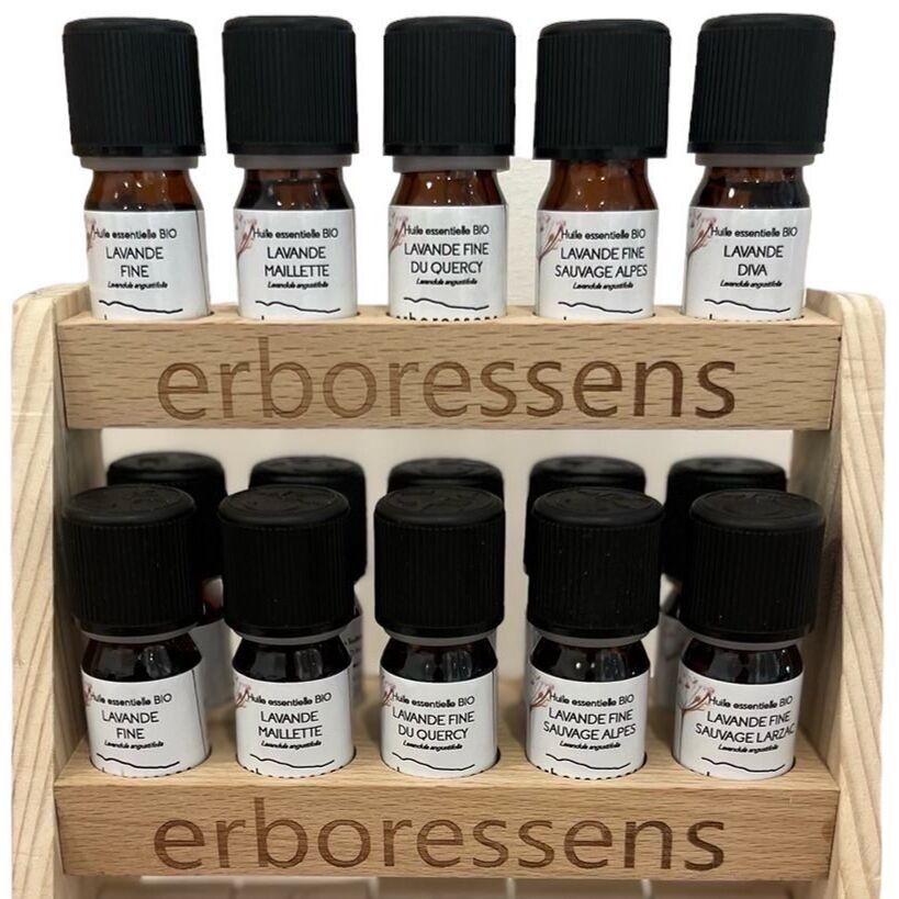 Erboressens