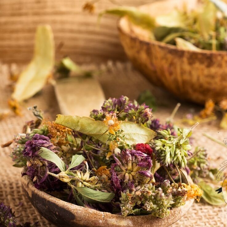 Fées Sorcières & Cie