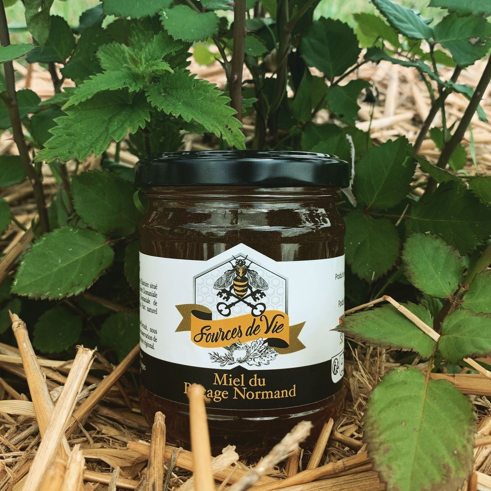 La Ferme Sources de Vie