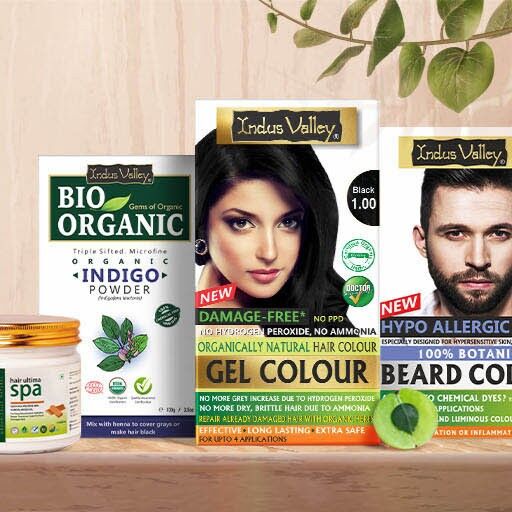 ECO DYSTRYBUTOR SPÓŁKA Z OGRANICZONĄ ODPOWIEDZIALNOŚCIĄ