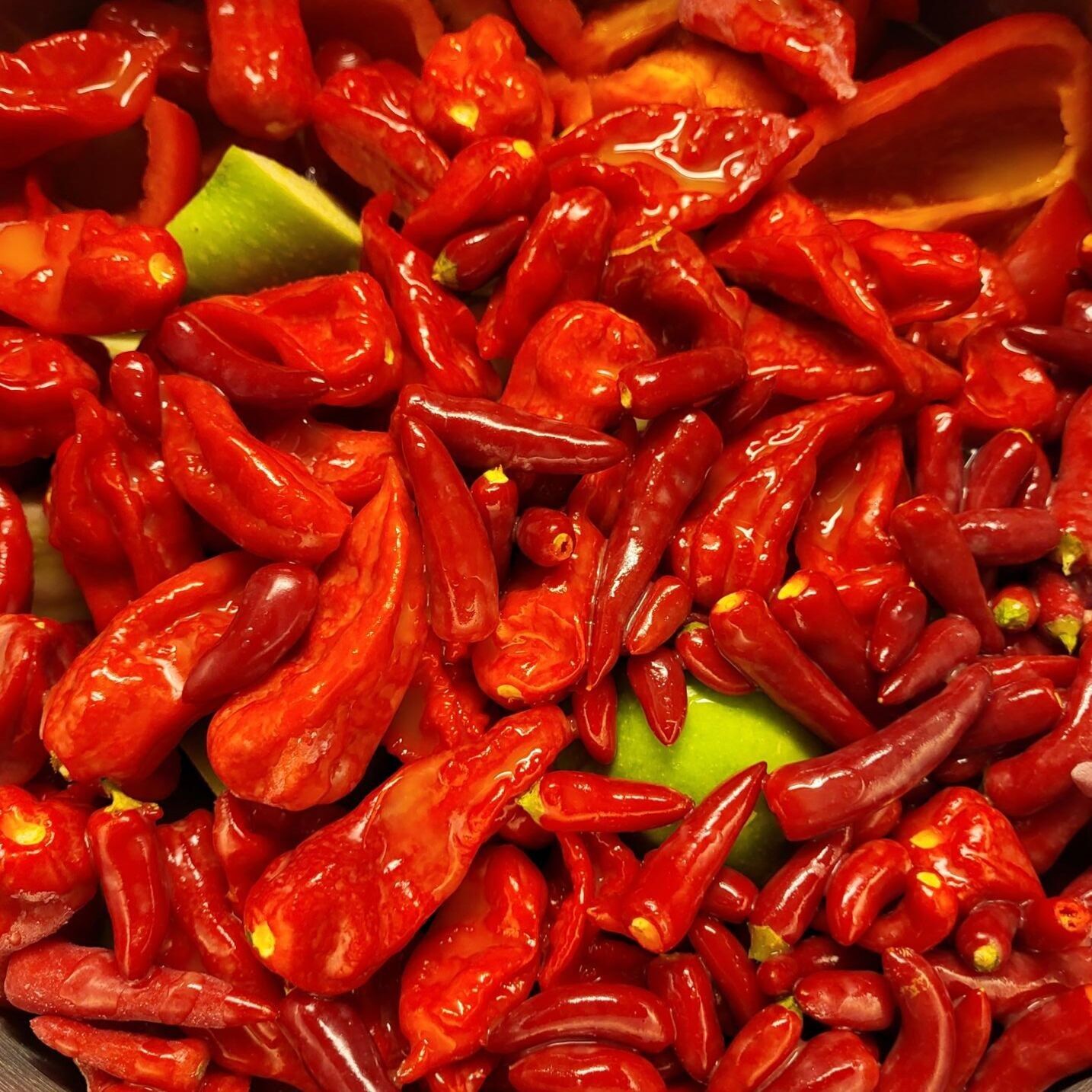 Olfs Spize Foods GmbH