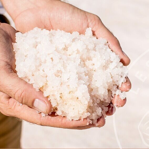 Le Salin de Gruissan